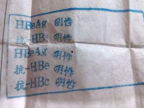 印尼巴士模拟器国产车辆模组 