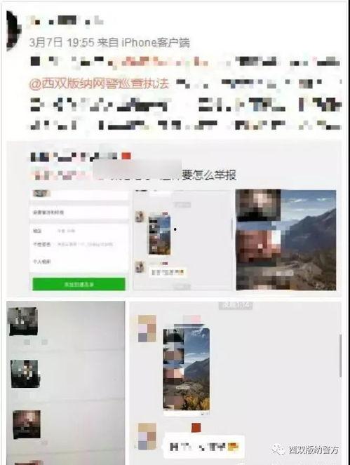 印尼巴士模拟器国产车辆模组 