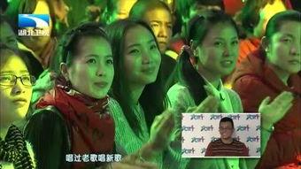 印尼巴士模拟器国产车辆模组 